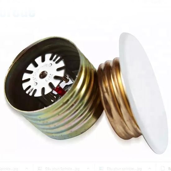 Đầu phun âm trần D15