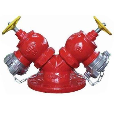 Đầu trụ chữa cháy 2 cửa ra D65