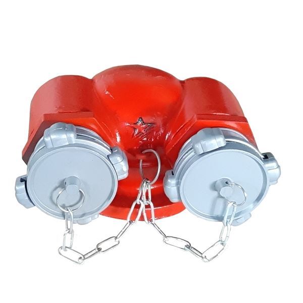 Họng tiếp nước chữa cháy 2 cửa ra D65