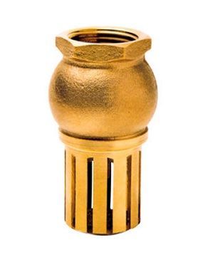 Rọ bơm đồng nối ren