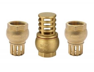 Rọ bơm đồng nối ren