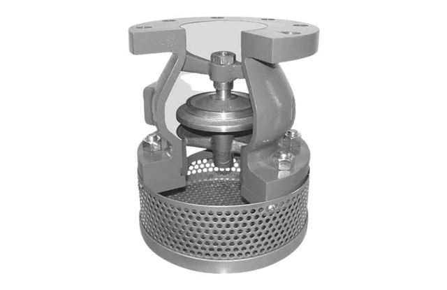 Rọ bơm thép mặt bích