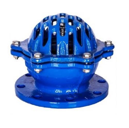 Rọ bơm gang mặt bích