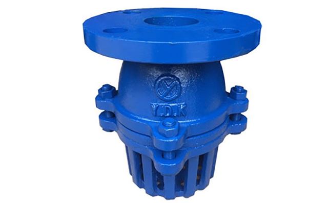 Rọ bơm gang mặt bích