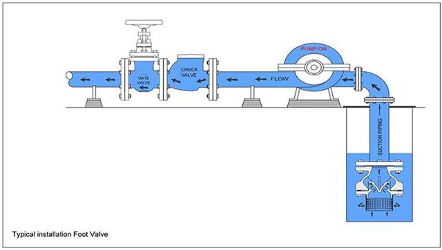 Rọ bơm gang mặt bích