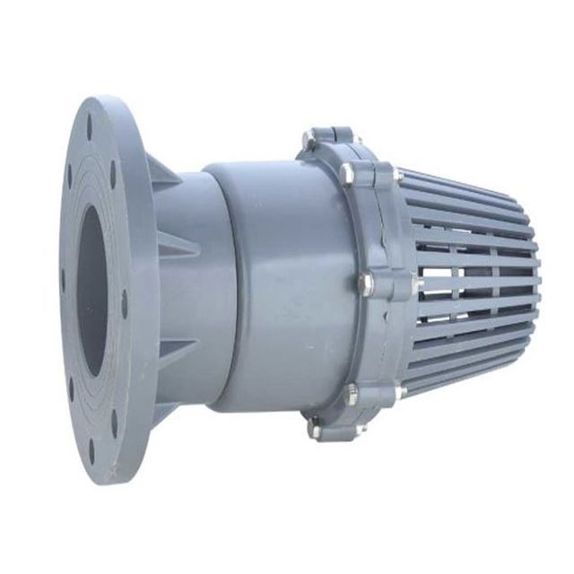 Rọ bơm nhựa mặt bích, nối ren