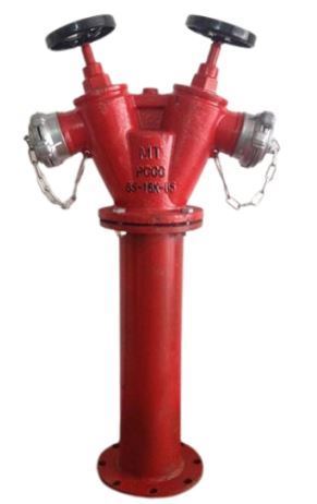 Thân trụ chữa cháy 2 cửa D65