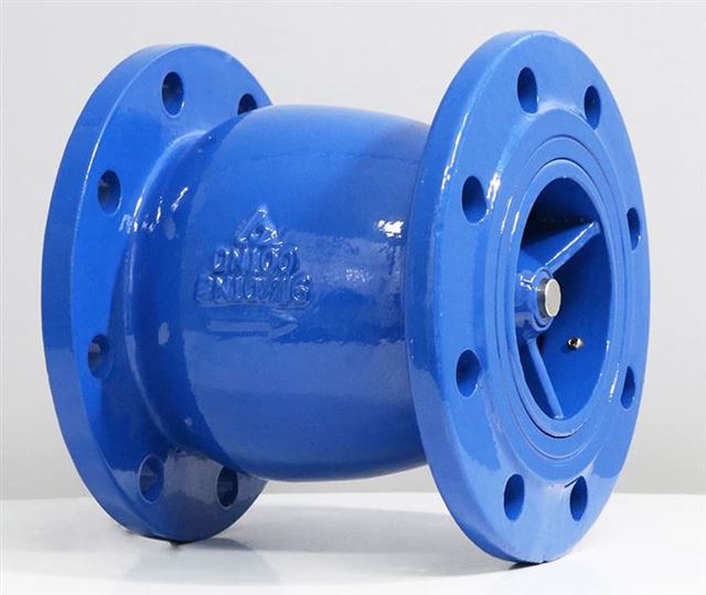 Van một chiều lò xo